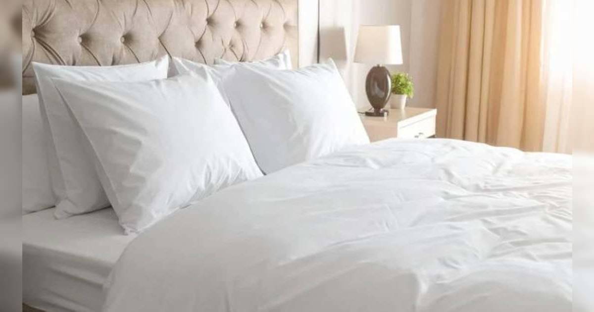 酒店房間5大衛生死角｜花灑細菌量係馬桶25,000倍？一物原來極危險！