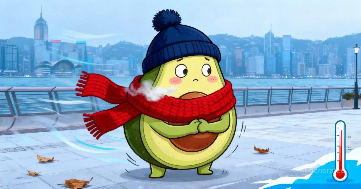 寒流突襲｜氣溫急降「大帽山僅2.3度」！天文台警告：寒冷天氣將持續？