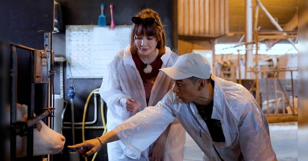 《無痕旅遊模式》Thor被小乳牛狂啜手指｜Asha騎巨馬高人一等！