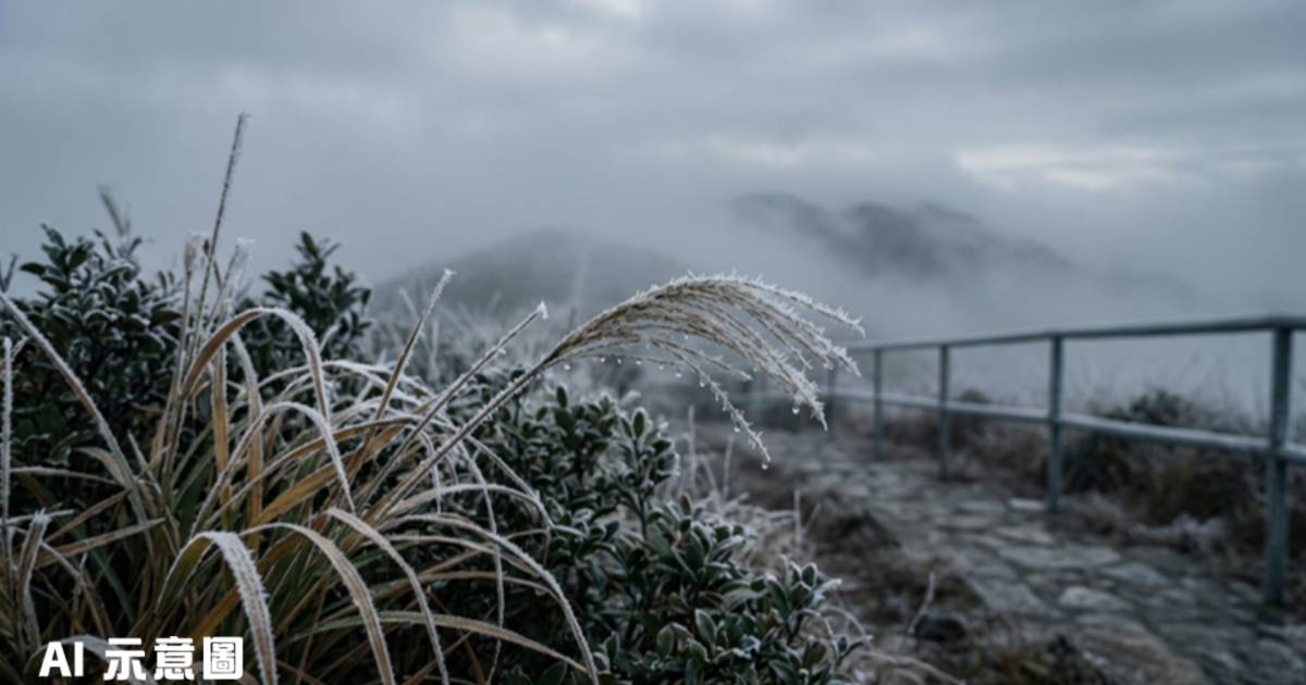 網傳香港1月中跌至5度或落雪｜歐洲預報現極端低溫 網民興奮：上大帽山瀡滑梯