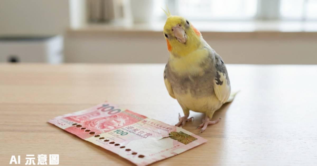 鸚鵡咬爛百元「紅杉魚」｜飼主曝光殘骸照求救 網民教路銀行兌換有門路