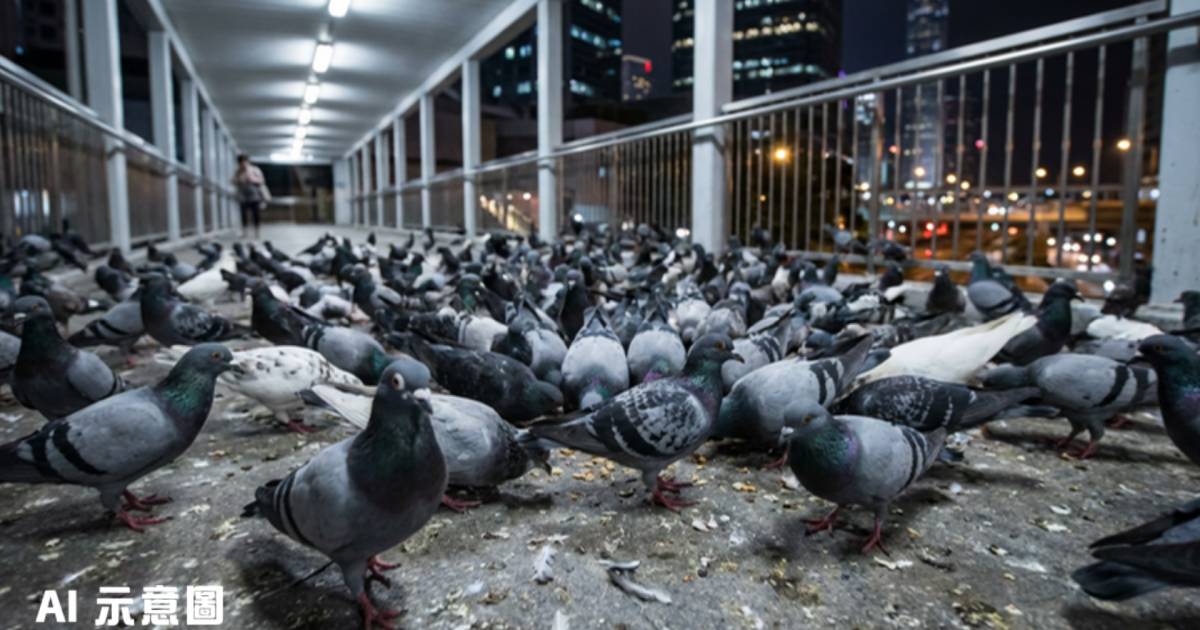 中環天橋驚現近百白鴿陣｜網民直擊可怕畫面 質疑因一件事所致