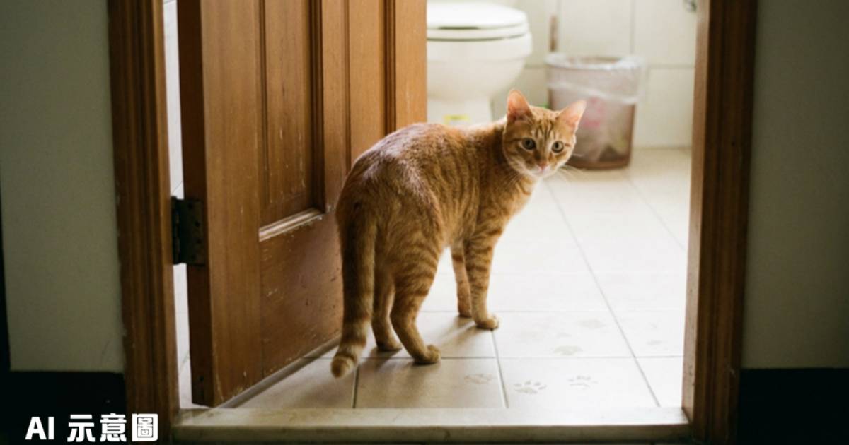 年近30歲姊妹17年零溝通｜妹控告姊姊仿《後宮甄嬛傳》縱貓騷擾 結局意外