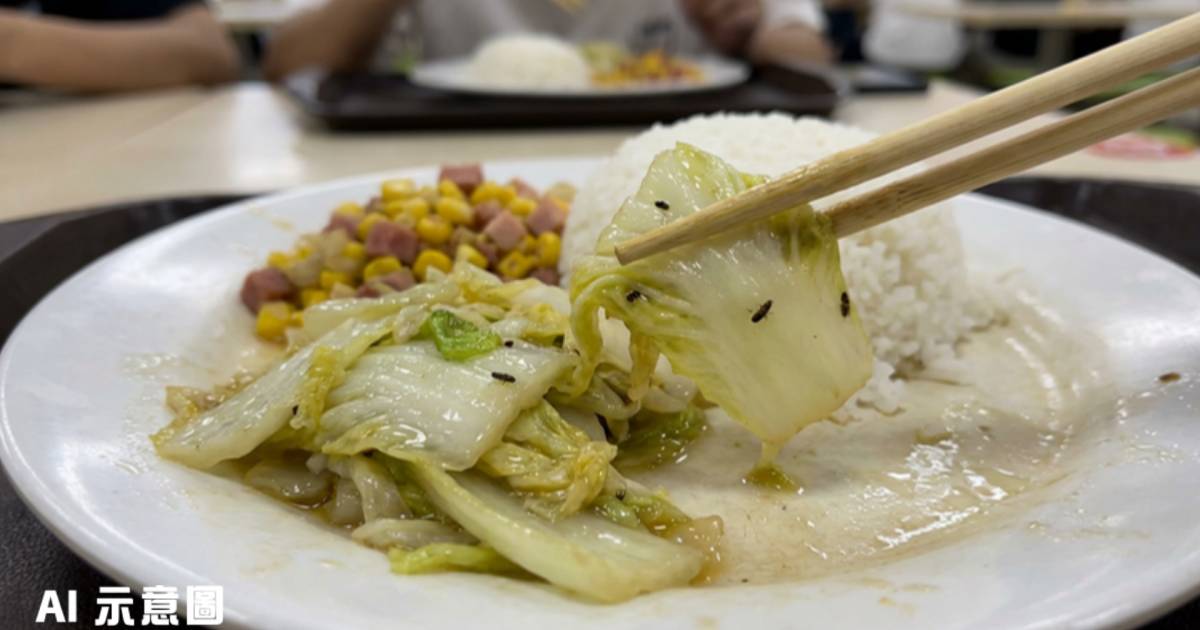 孕婦機場食兩餸飯驚見「一家大細」蟲蟲｜向食環署舉報 網民震驚