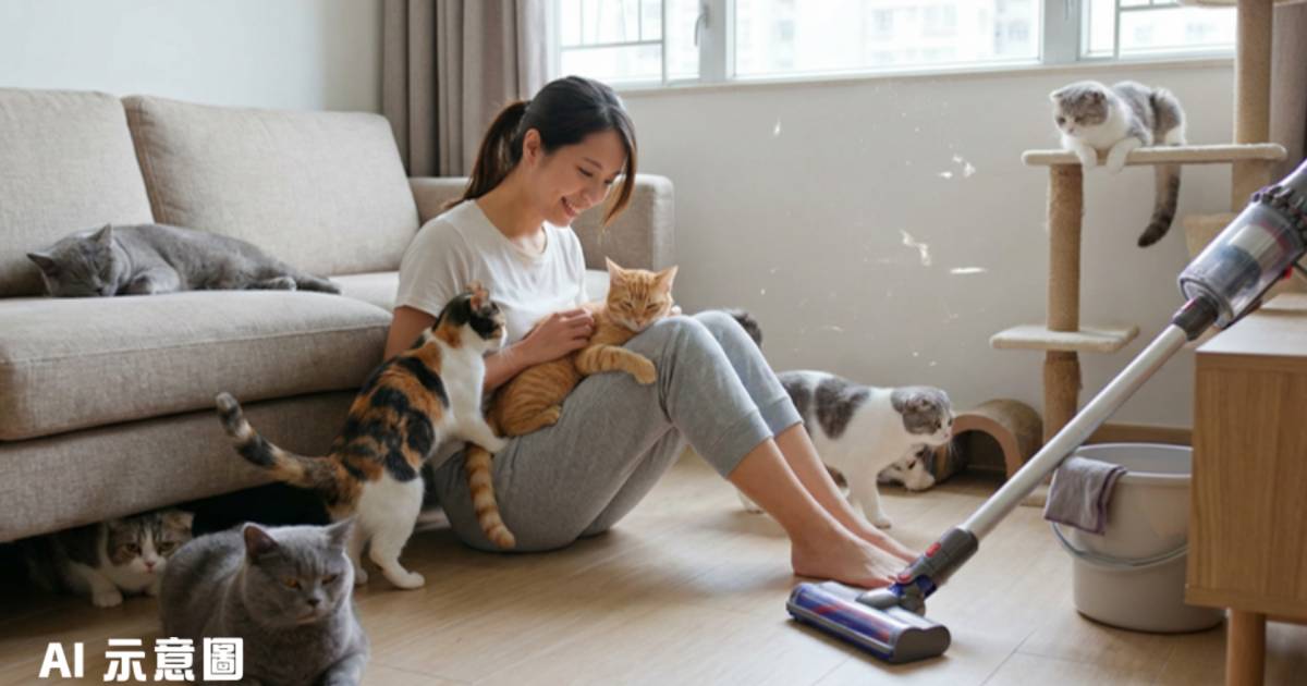 青衣私樓戶時薪100元聘鐘點｜家中10隻貓曝光 網民態度180度轉變：想貼錢上去玩