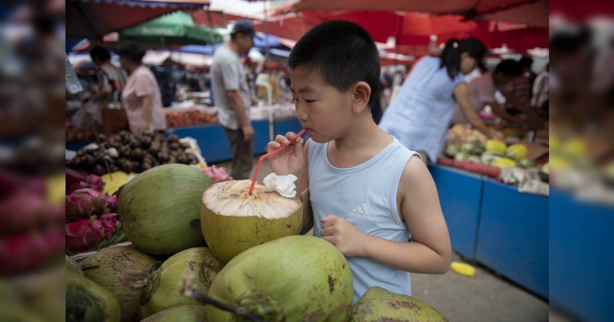 尼帕病毒｜專家警告人傳人風險極高 旅遊飲食3大保命建議！