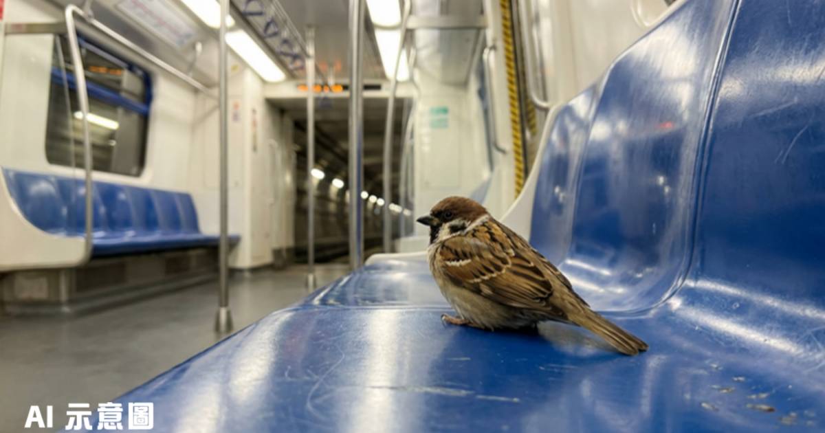 雀仔突入港鐵車廂乖乖坐定｜吸逾1萬Likes 網民爆笑：「請勿將腳放於椅子上」