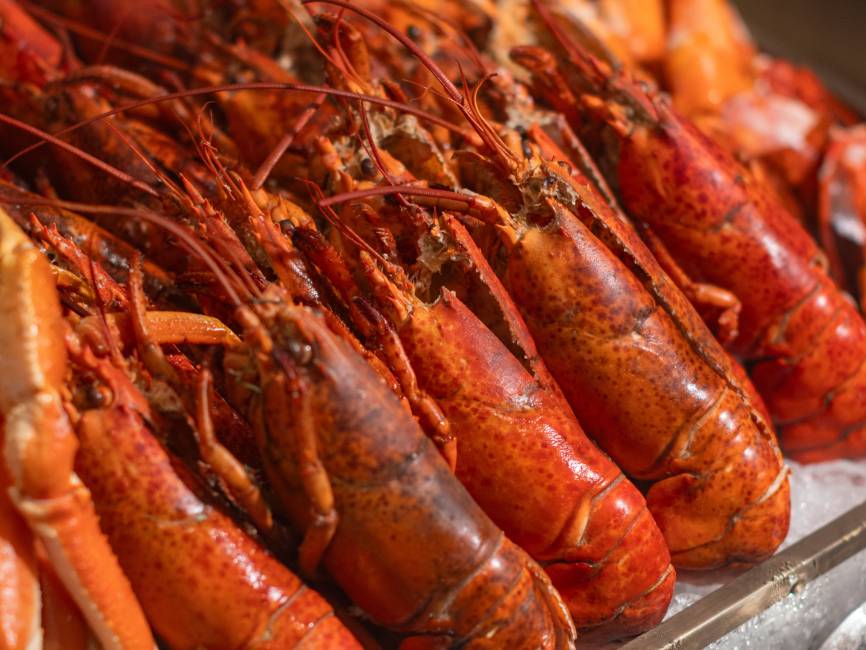 香港文華東方酒店 (圖片來源:KKday)