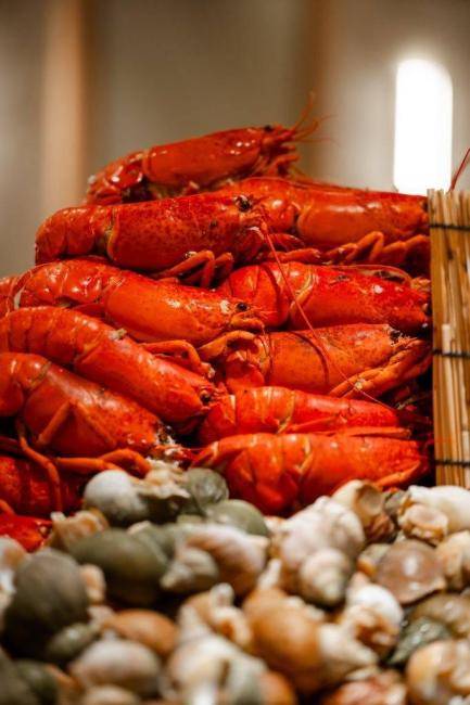 沙田帝都酒店 (圖片來源:KKday)