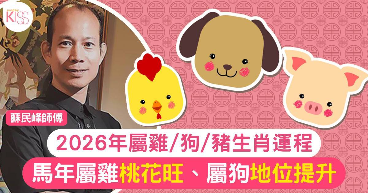 蘇民峰屬雞/狗/豬生肖運程2026｜馬年屬雞桃花旺屬狗地位提升