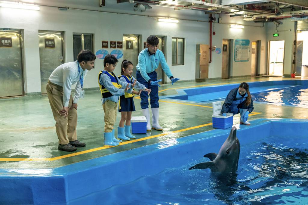 復活節旅遊攻略!橫琴長隆豪華假期 海豚小小保育員(圖片來源:橫琴長隆)