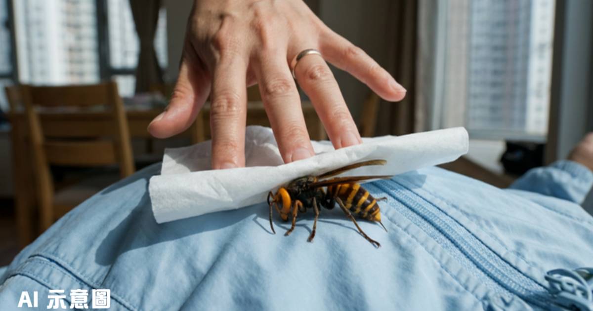 女兒外套驚現巨蜂｜港媽徒手捉蜂放生 專家認出恐怖真身：攻擊性好強