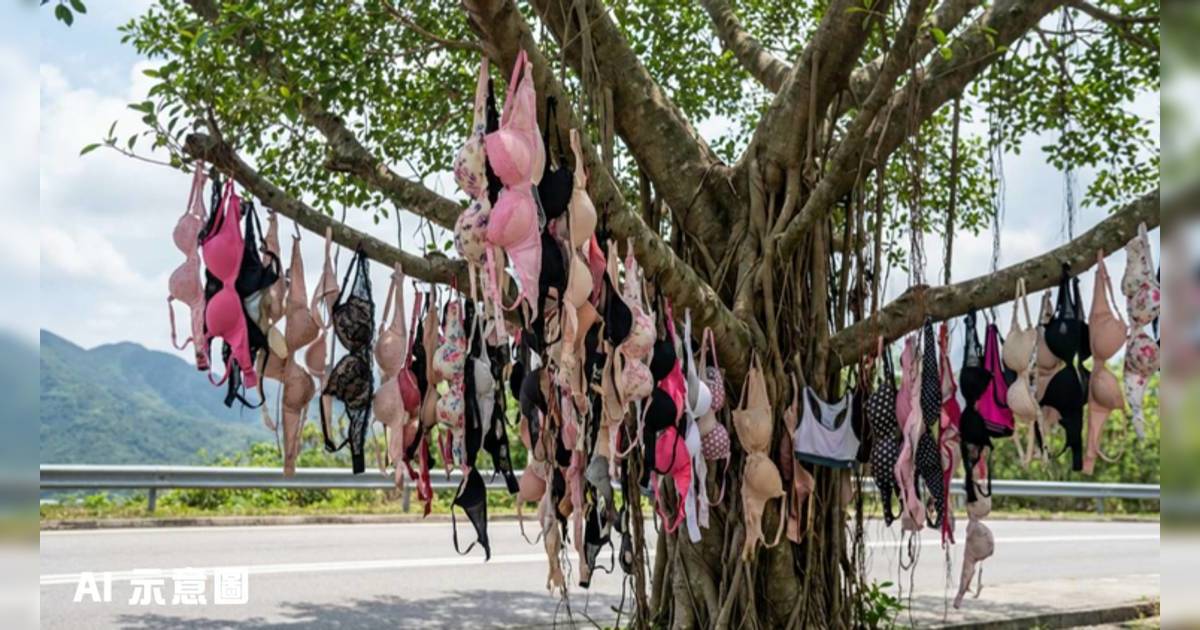 大欖轉車站大樹離奇掛滿內衣｜網民笑似許願樹：新年要去拜下
