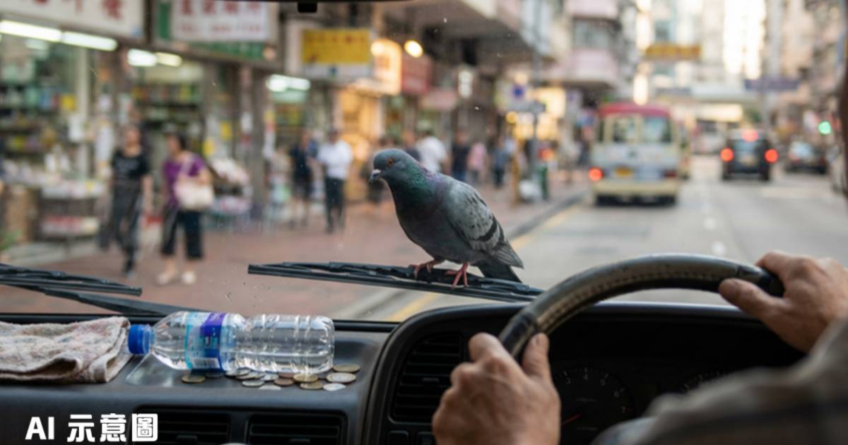 鴿子企小巴水撥搭霸王車｜司機無奈：跟咗我成日 網民因一原因大讚有運行