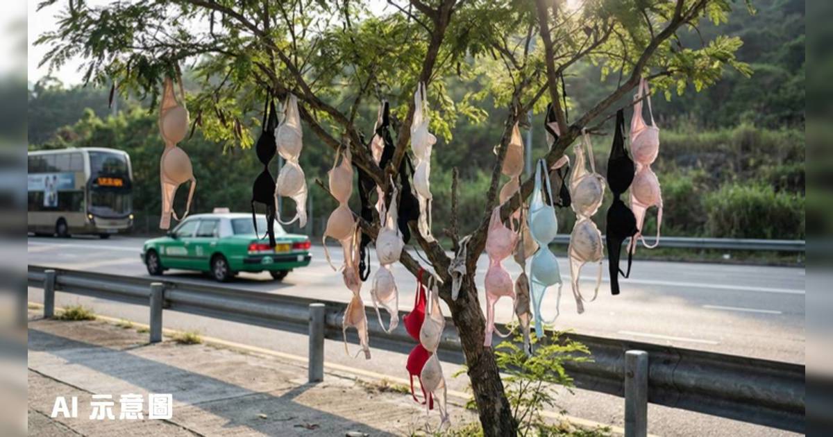 元朗八鄉路樹木被掛滿胸圍｜網民調侃如許願樹「祈求風調乳順」