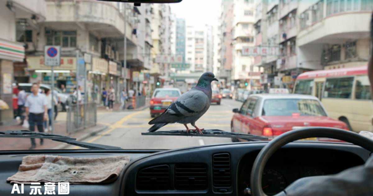 鴿子站小巴水撥搭順風車｜司機無奈：跟咗成朝 網民爆笑留言