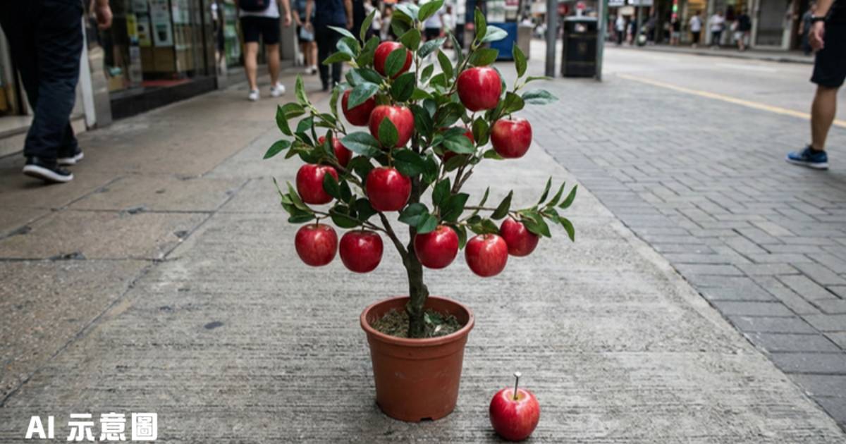 天水圍街坊300元買蘋果樹｜行50米蘋果跌落驚悉假貨 折返退錢遭惡罵