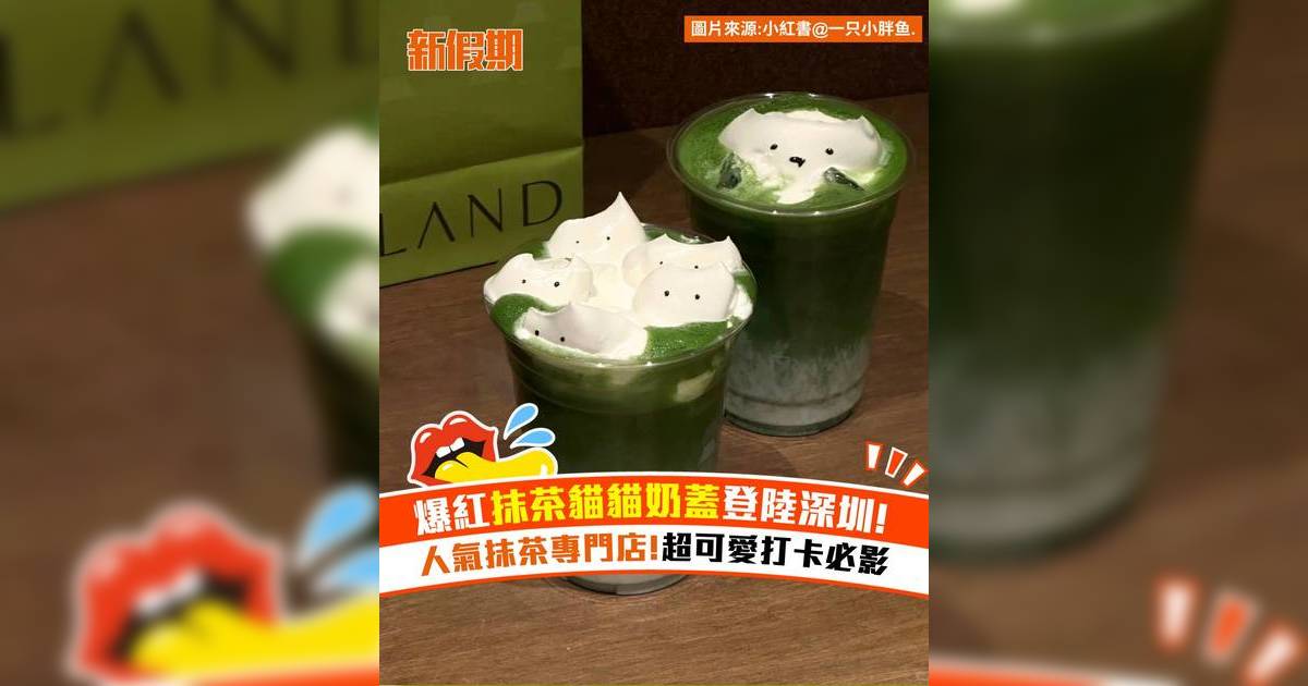 爆紅抹茶貓貓奶蓋登陸深圳！人氣抹茶專門店 超可愛打卡必影