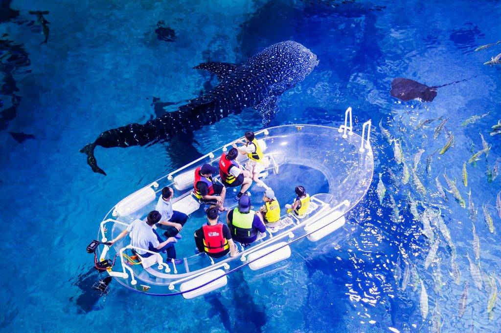 復活節旅遊攻略!橫琴長隆豪華假期 鯨鯊小小保育員(圖片來源:橫琴長隆)