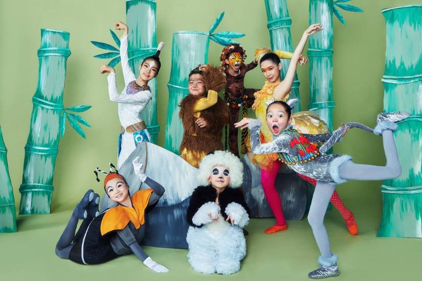 馬年博物館通行證 (圖片來源:合家歡音樂舞劇《熊貓大同萌》| 香港舞蹈團)