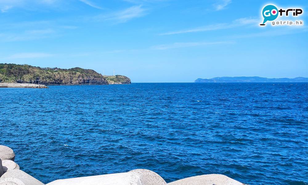 日本小島一連串怪事  全村貓咪發狂萬人中招！秘密源自一間公司｜惡水真相