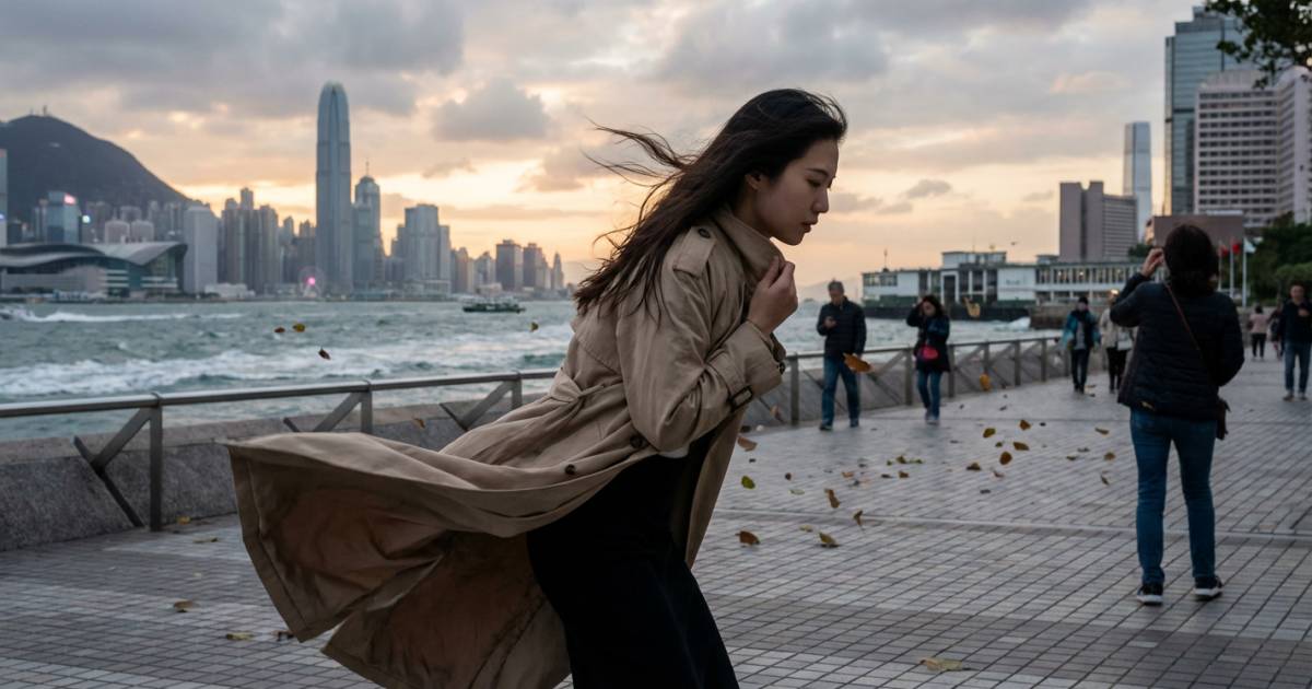 季候風殺到！周末狂吹「6級強風」｜下周天氣轉涼有玄機？