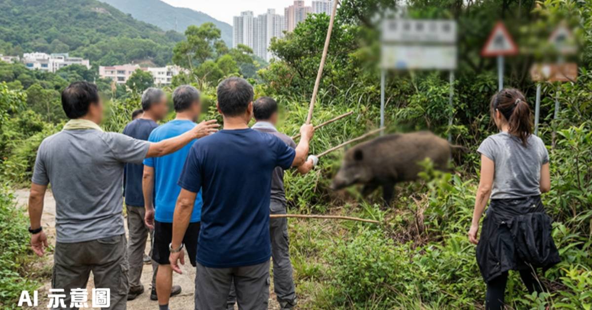 將軍澳行山女遭1米長野豬突襲｜村民合力驅趕 結局震撼