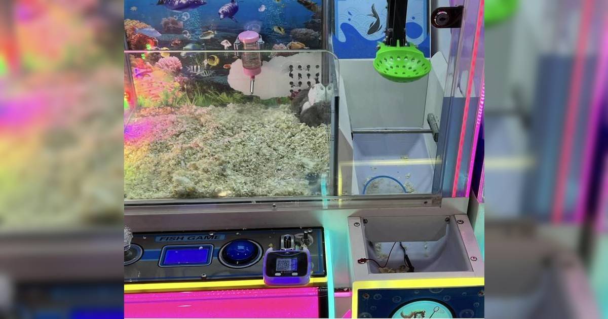 深圳商場驚現活體夾倉鼠機｜被投訴後反應更離譜 網民怒批泯滅人性