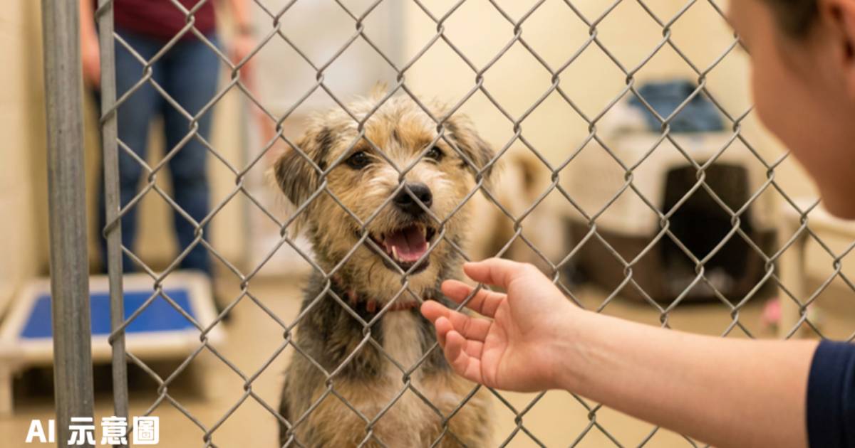 1歲狗狗主人入護老院被棄養｜憑燦爛笑容爆紅 結局超暖心