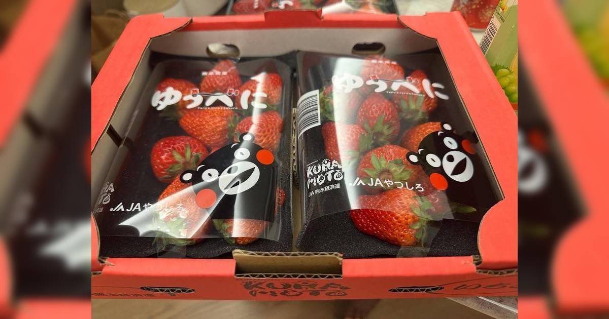 香港街市驚現假熊本士多啤梨 日本事務所教「2招」辨真假買前必學！