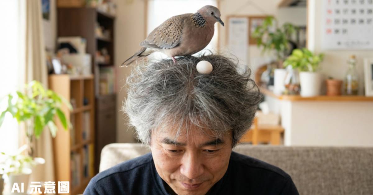 身障斑鳩頭頂產蛋3小時｜父親髮絲驚現鳥蛋 網民爆笑：該剪髮