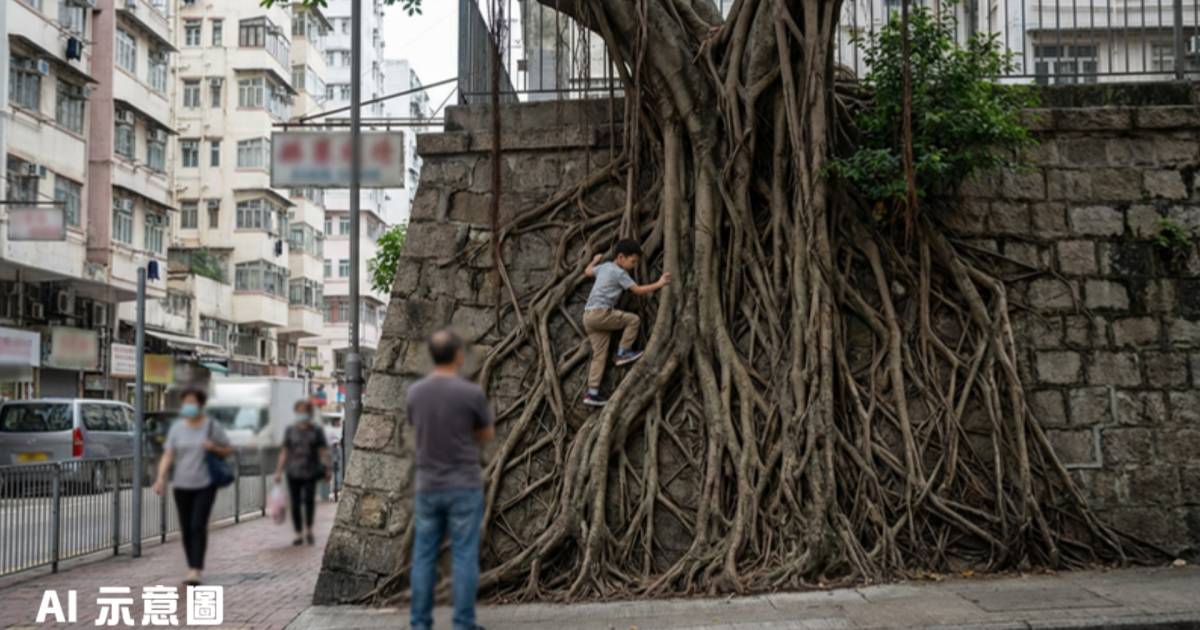 西環石牆樹驚現頑童踩樹根爬牆｜疑家長在場視若無睹 網民怒轟