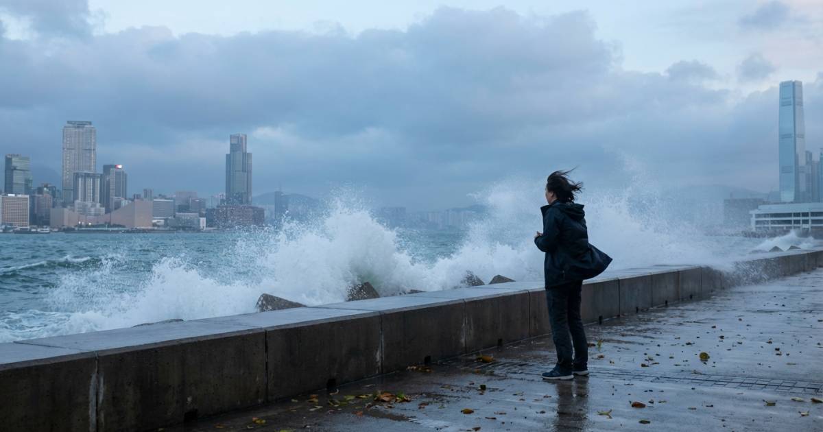 強烈季候風狂襲！｜離岸風力達「7級」：氣溫急降新界恐更凍？