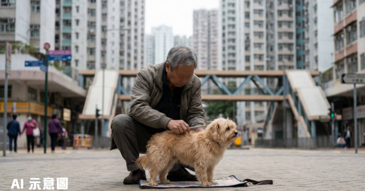 鑽石山男狗主街頭替小狗梳毛｜乖巧企定定畫面爆紅 網民驚喜發現真相