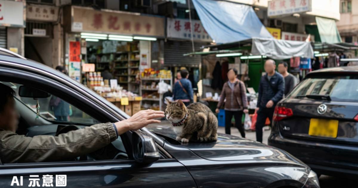 深水埗貓店長霸佔車頭｜司機溫柔對話獲激讚　網民：留下買路罐