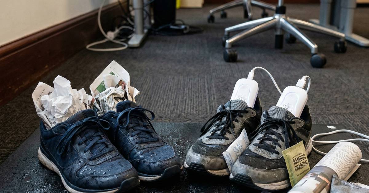 7個乾鞋方法！黑紅黃雨都唔驚！在Office極速除濕除臭｜好生活百科