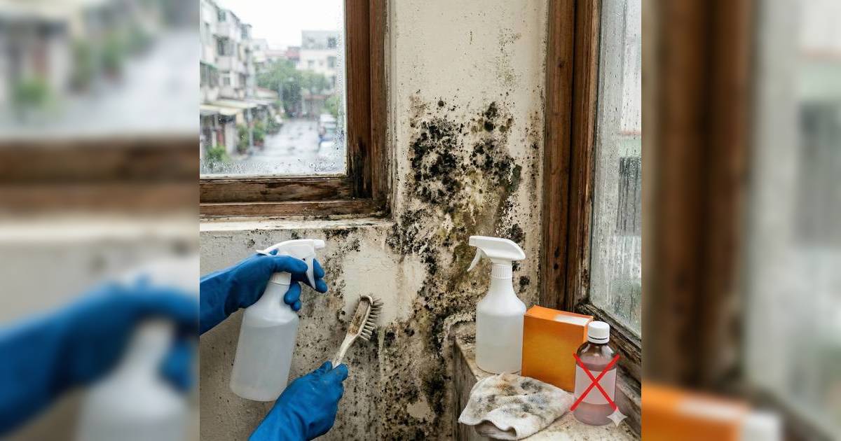 牆身發霉全攻略｜回南天必備低成本除霉大法 酒精原來無效？K Kwong 教你一招殺滅霉菌防過敏