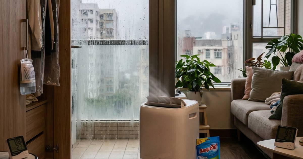 回南天家居防潮全攻略2026｜7大除濕妙招、5項預防建議一覽！