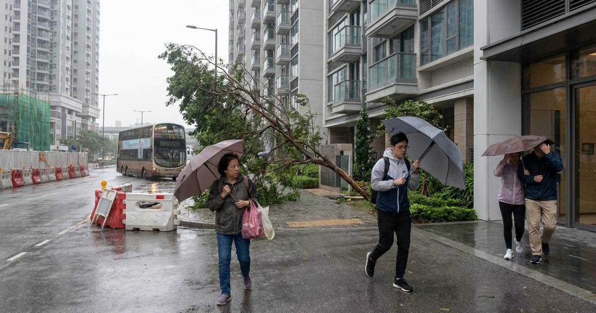 狂風突襲日本西部！航班急轉飛名古屋 巴士站慘被吹冧：破紀錄風速有幾勁？
