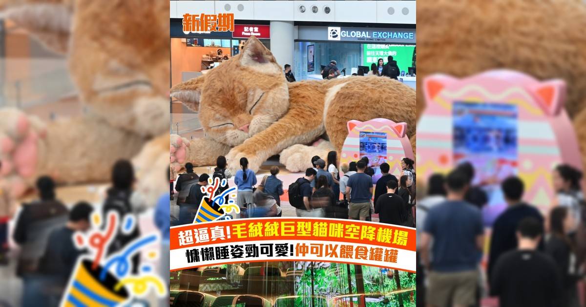 超逼真毛絨絨巨型貓咪空降機場！慵懶睡姿勁可愛 仲可以餵食罐罐