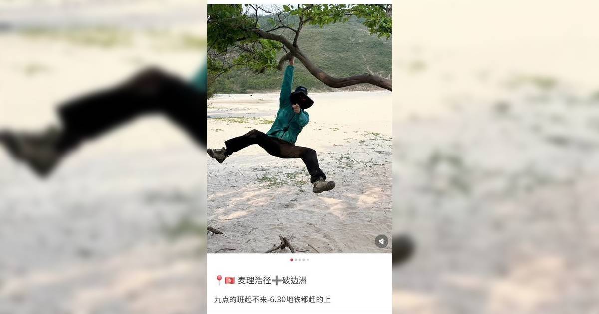 小紅書掀起「抱樹打卡」風潮 香港郊野樹木慘況曝光！