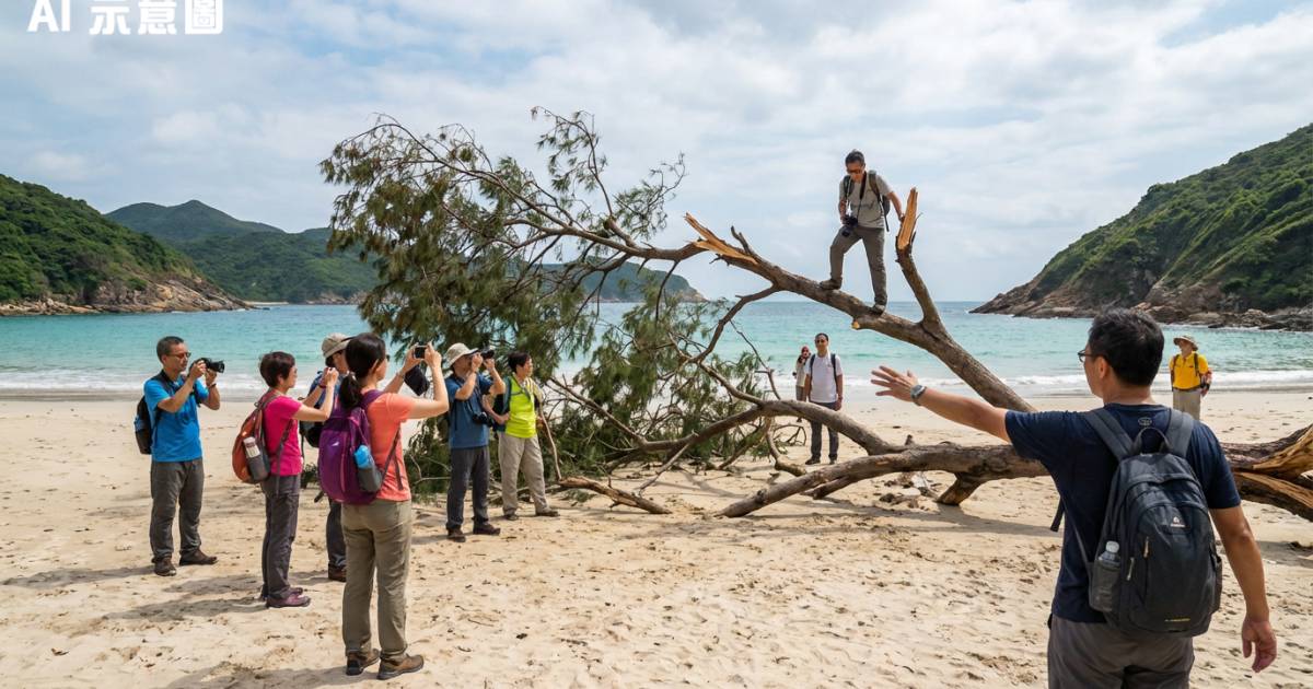 港版馬爾代夫慘遭毒手！遊客湧浪茄灣爬樹打卡 驚見塌樹斷枝 目擊者勸阻後續更嬲