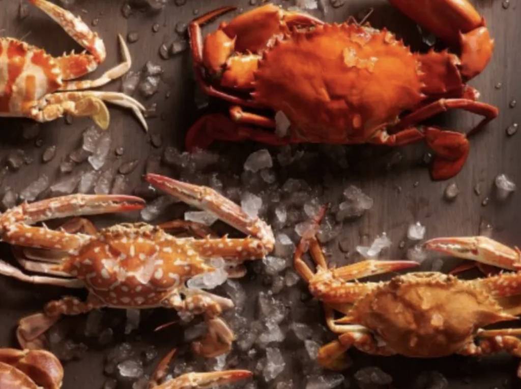 香港東涌世茂喜來登酒店 (圖片來源:KKday)