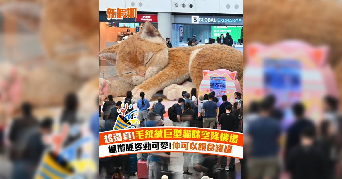 超逼真毛絨絨巨型貓咪空降機場！慵懶睡姿勁可愛 仲可以餵食罐罐