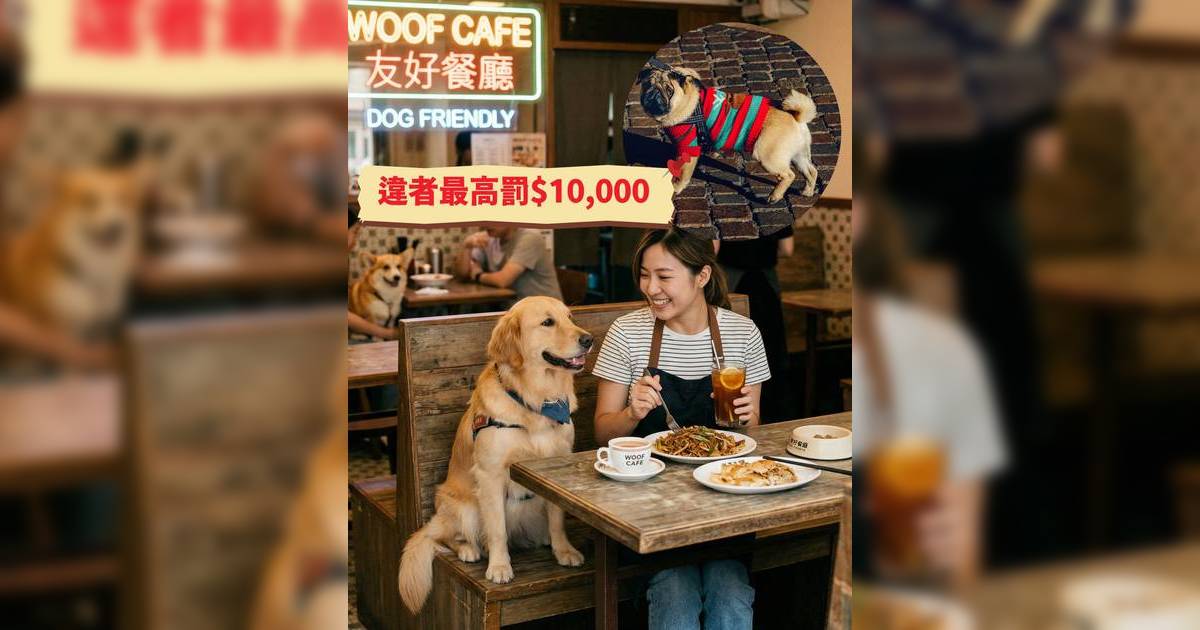 狗隻入食肆2026｜新法例5.8生效！寵物友善餐廳申請條件狗主守則及禁區一覽