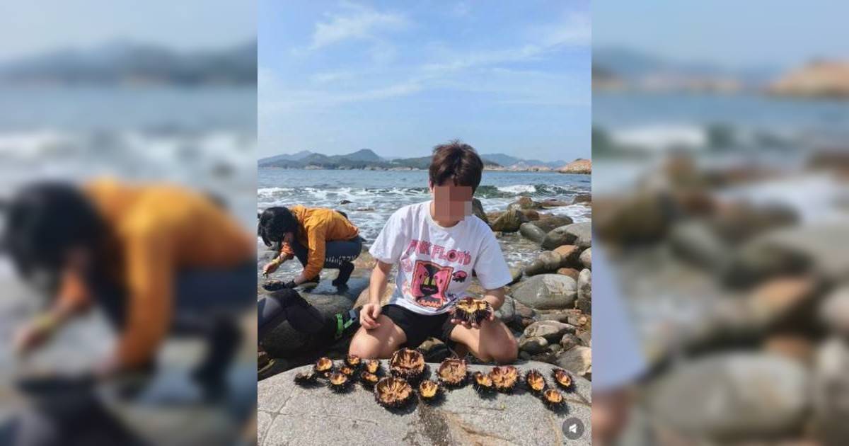 五一黃金週｜內地客西貢狂捉30隻海膽！小紅書晒「海膽自由」 遭怒轟破壞香港生態