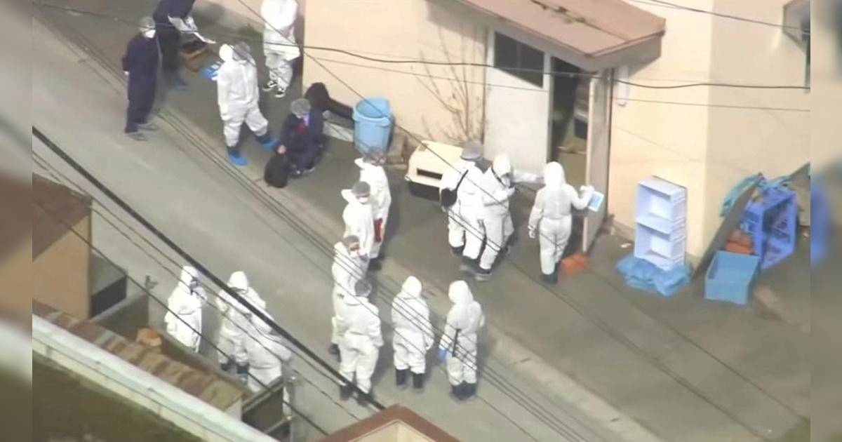 北海道旭山動物園員工涉殺妻案 園內火化企圖瞞天過海 受害者「最後求救訊息」曝光