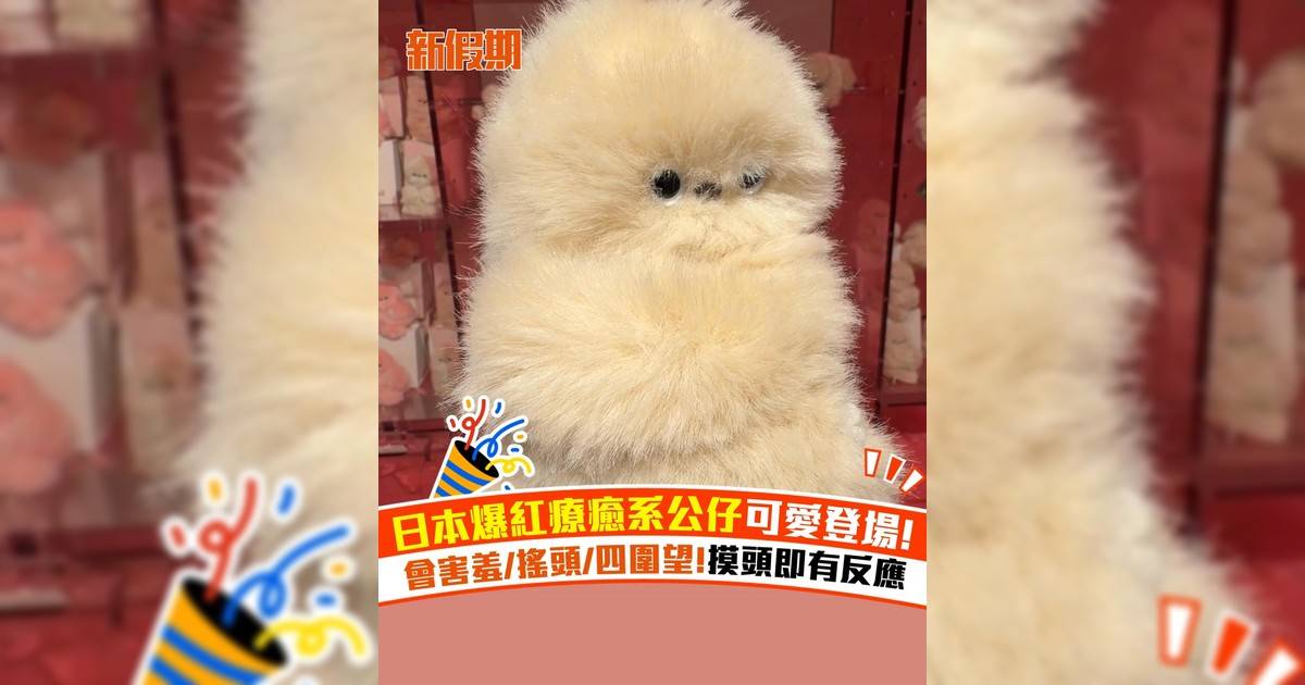 日本爆紅療癒系公仔可愛登場！會害羞/搖頭/四圍望!摸頭即有反應