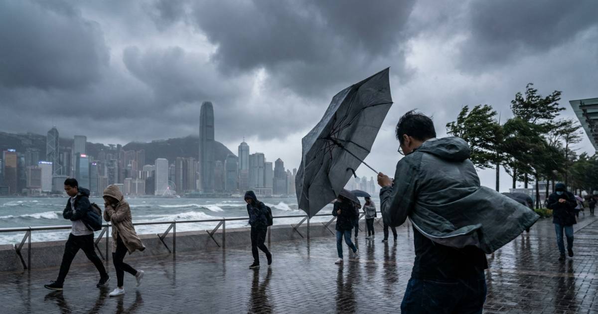 強風雷暴突襲！｜天文台警告惡劣天氣持續數日：「雨勢頗大」市民點算？