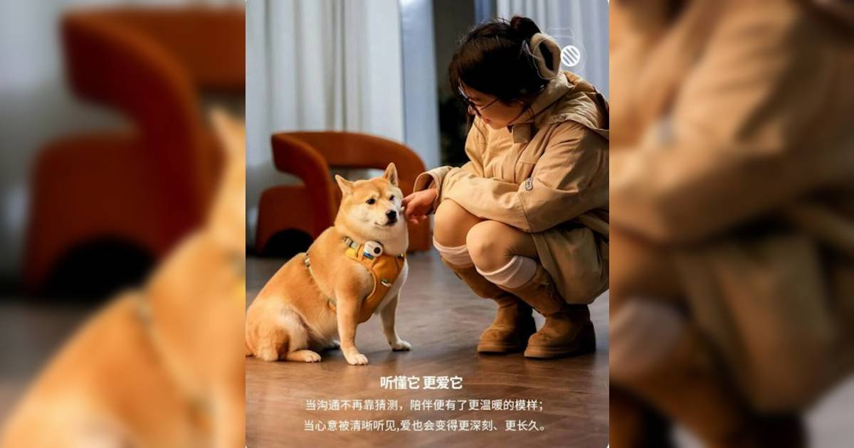 內地研發出AI寵物翻譯器 推5大賣點售$799 網民笑「智商檢驗器」